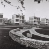 Барановичи, Строительство птицефабрики «Дружба», 1979 год