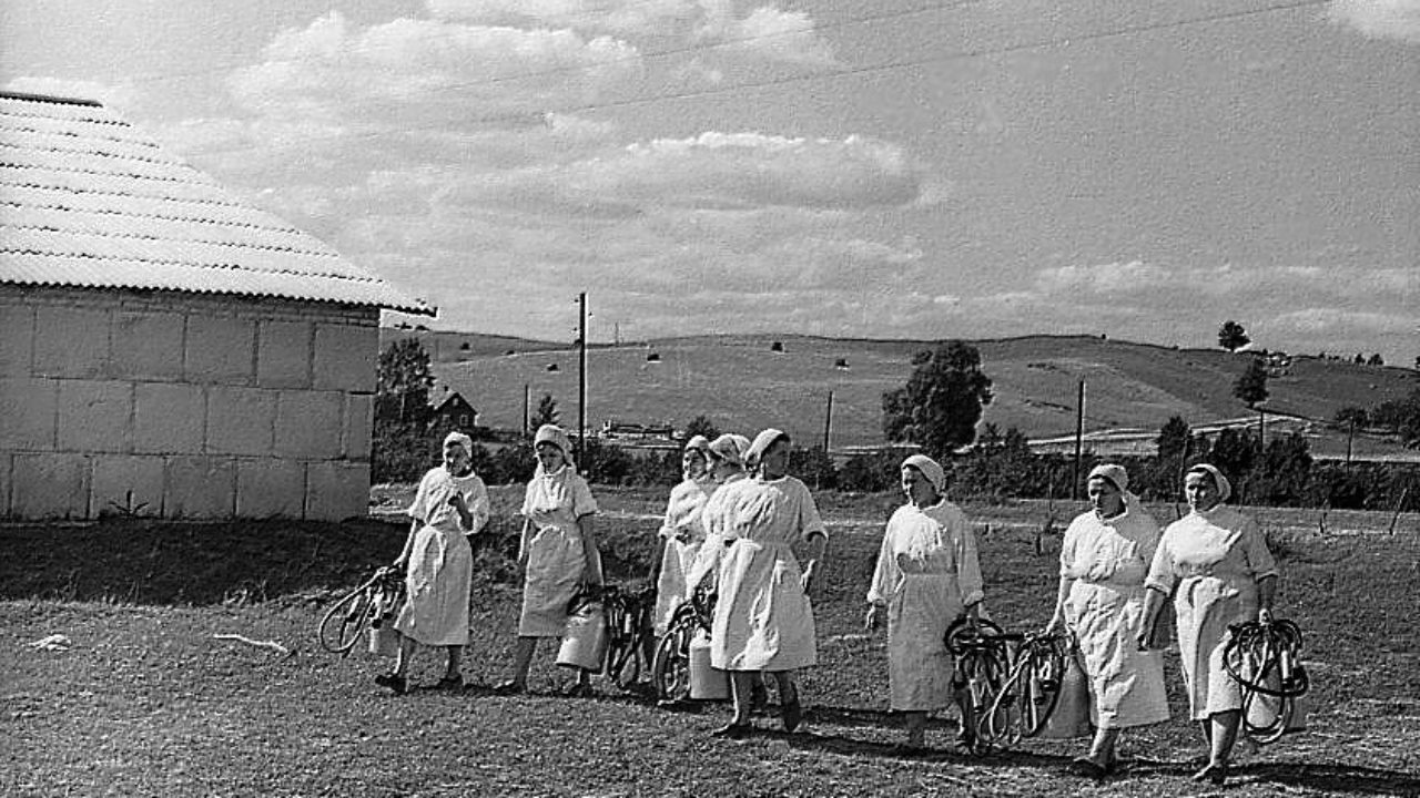 Городище. Доярки колхоза Большевик ~ Барановичи — история в фотографиях