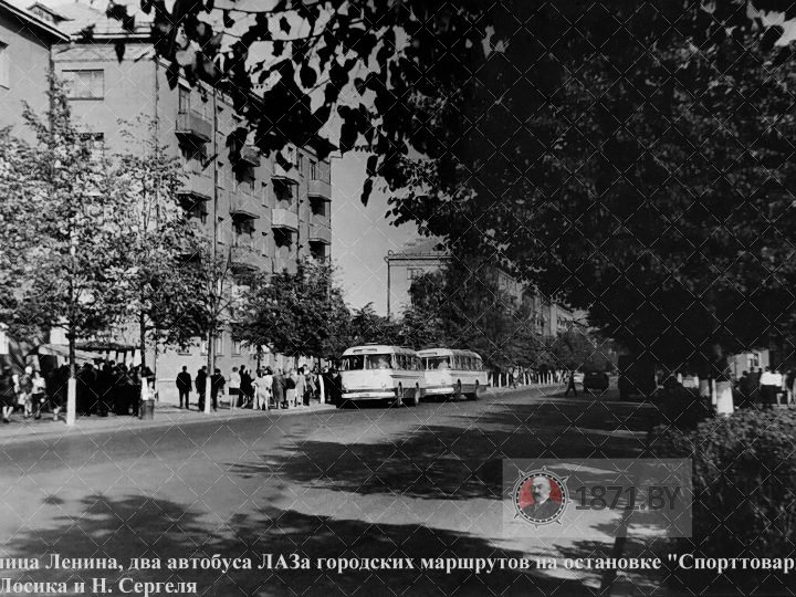 1970-е. Ул. Ленина, два ЛАЗа на остановке "Спорттовары"